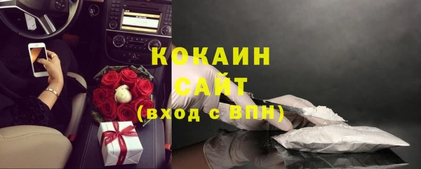 сатива Аркадак