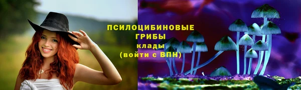 сатива Аркадак