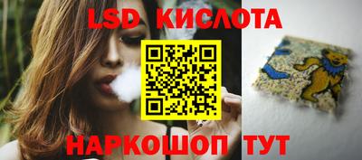 меф Гатчина