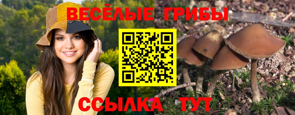 Галлюциногенные грибы ЛСД  Вход с VPN  Бор 